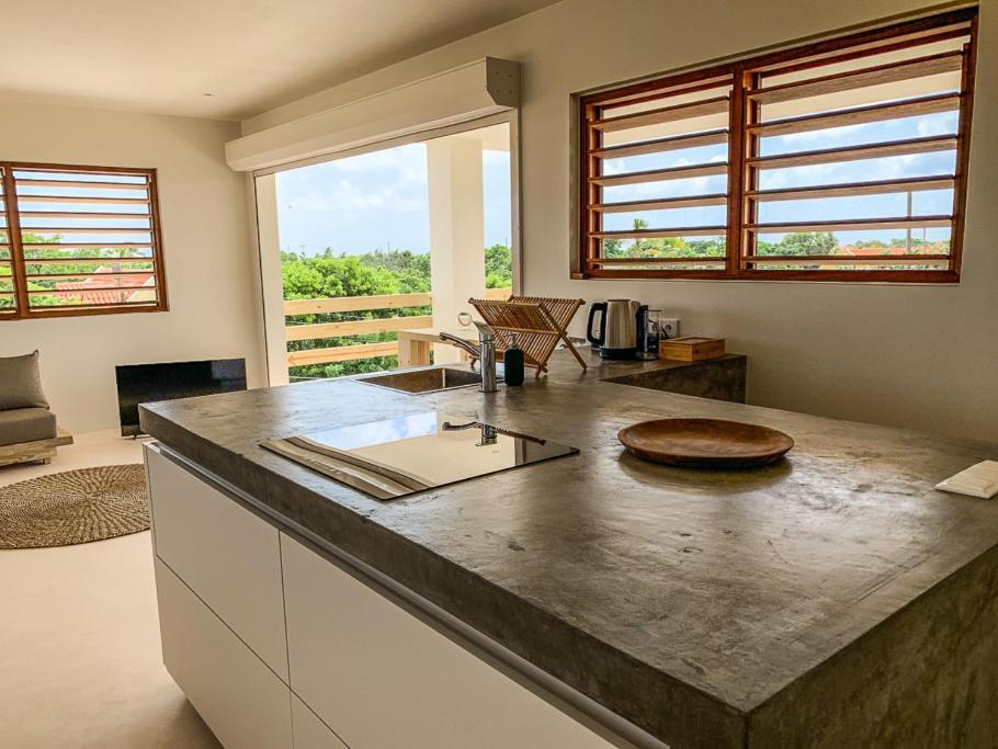 Isla penthouse&garden apartments Bonaire Playa Extérieur photo